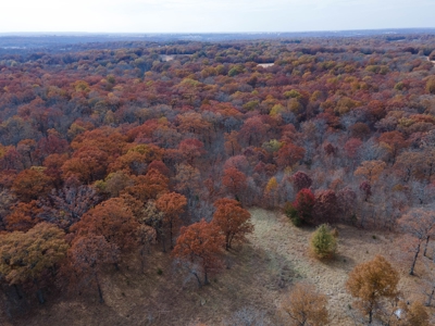 Hunting Property For Sale St. Clair County, MO - image 19