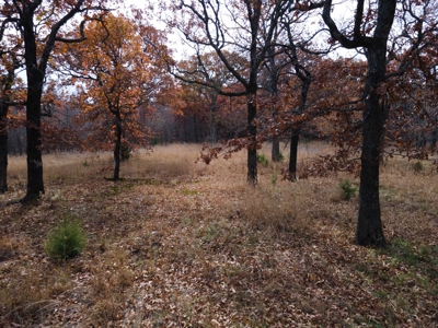 Hunting Property For Sale St. Clair County, MO - image 21