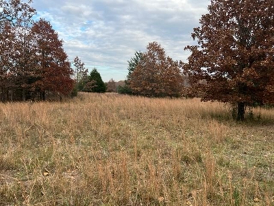 Land For Sale near Alton, MO - image 22