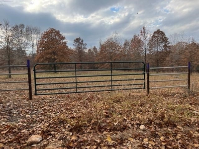 Land For Sale near Alton, MO - image 31