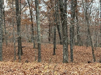 Land For Sale near Alton, MO - image 28
