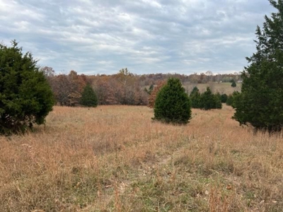 Land For Sale near Alton, MO - image 24