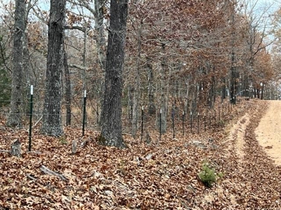 Land For Sale near Alton, MO - image 29