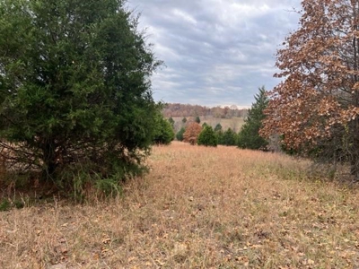 Land For Sale near Alton, MO - image 23