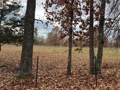Land For Sale near Alton, MO - image 30