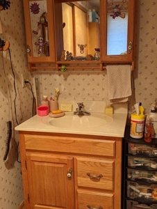 Waterfront Home for Sale Hiawatha Lake Atlanta MI - image 9