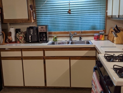 Waterfront Home for Sale Hiawatha Lake Atlanta MI - image 5