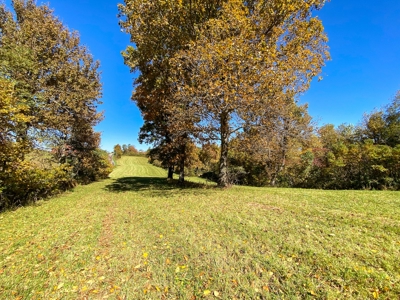 Land for Sale Near the Blue Ridge Parkway! - image 12