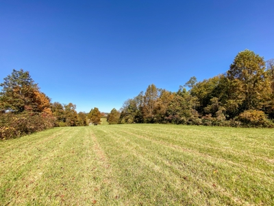 Land for Sale Near the Blue Ridge Parkway! - image 11