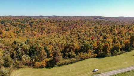 Land for Sale Near the Blue Ridge Parkway! - image 17