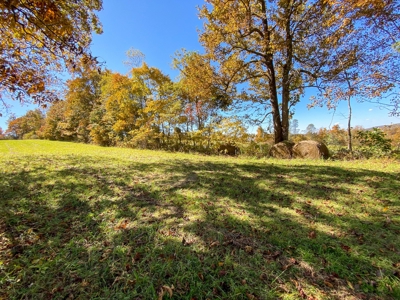 Land for Sale Near the Blue Ridge Parkway! - image 7