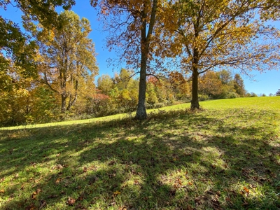 Land for Sale Near the Blue Ridge Parkway! - image 13