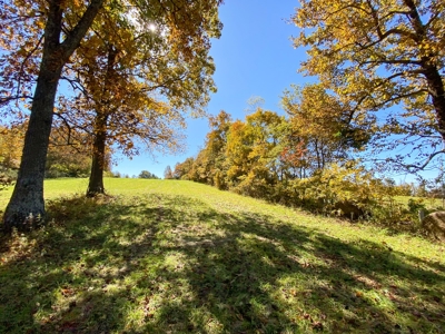 Land for Sale Near the Blue Ridge Parkway! - image 6