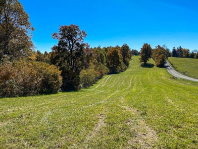 Land for Sale Near the Blue Ridge Parkway! - image 16