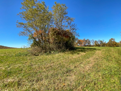 Land for Sale Near the Blue Ridge Parkway! - image 10