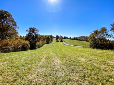 Land for Sale Near the Blue Ridge Parkway! - image 15