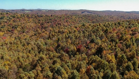 Land for Sale Near the Blue Ridge Parkway! - image 3