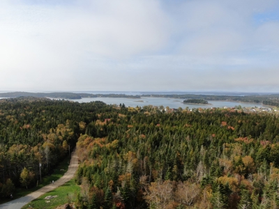 5-Bedroom Contemporary with Acreage - image 11