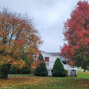 Country Home for Sale in Riner VA - image 5