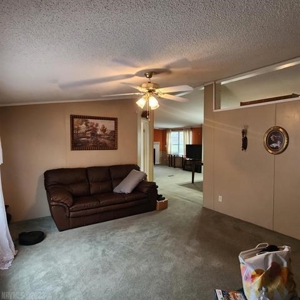 Country Home for Sale in Riner VA - image 27