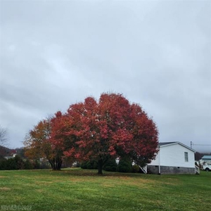 Country Home for Sale in Riner VA - image 3