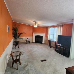 Country Home for Sale in Riner VA - image 15