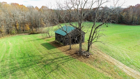 Farm land / Hunting land for sale in Somerset Kentucky - image 8