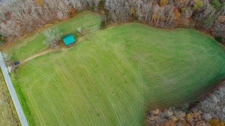 Farm land / Hunting land for sale in Somerset Kentucky - image 7