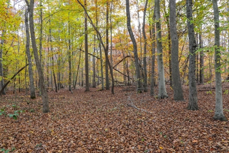 Farm land / Hunting land for sale in Somerset Kentucky - image 22
