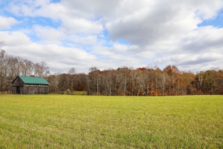 Farm land / Hunting land for sale in Somerset Kentucky - image 12