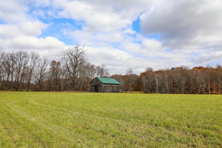 Farm land / Hunting land for sale in Somerset Kentucky - image 10