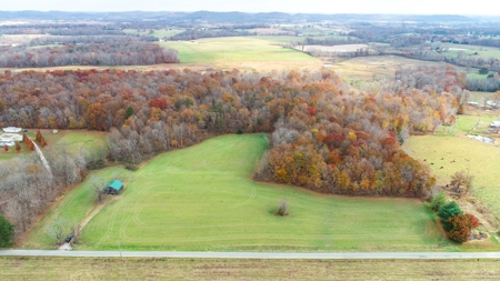 Farm land / Hunting land for sale in Somerset Kentucky - image 1