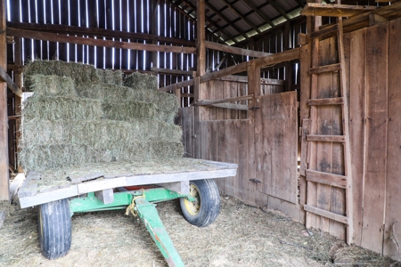 Farm land / Hunting land for sale in Somerset Kentucky - image 19