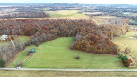 Farm land / Hunting land for sale in Somerset Kentucky - image 4