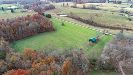 Farm land / Hunting land for sale in Somerset Kentucky - image 6