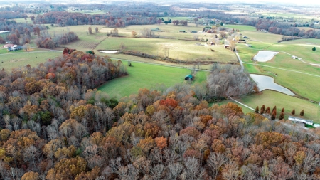 Farm land / Hunting land for sale in Somerset Kentucky - image 27
