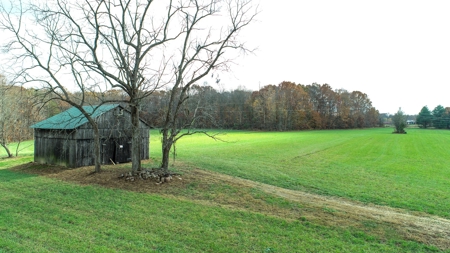 Farm land / Hunting land for sale in Somerset Kentucky - image 9