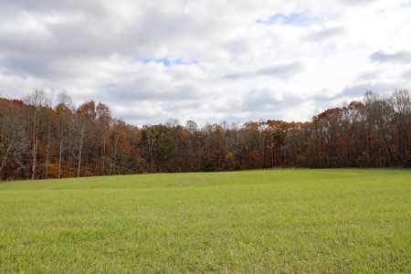 Farm land / Hunting land for sale in Somerset Kentucky - image 28