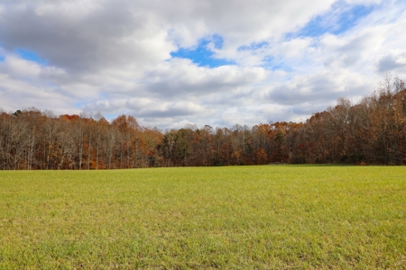 Farm land / Hunting land for sale in Somerset Kentucky - image 11