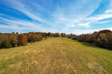 Hay/ Timber/ Development Tract Clay County, MO For Sale - image 5