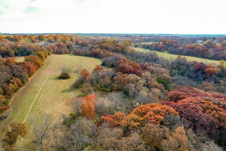 Hay/ Timber/ Development Tract Clay County, MO For Sale - image 6