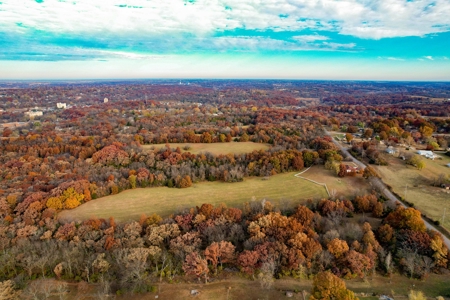 Hay/ Timber/ Development Tract Clay County, MO For Sale - image 1