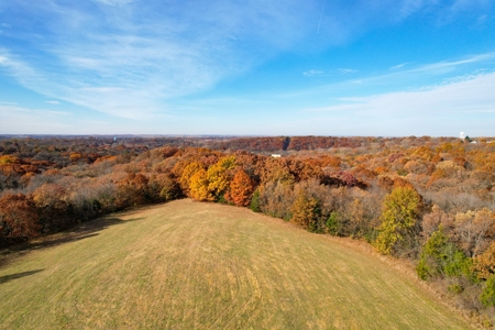 Hay/ Timber/ Development Tract Clay County, MO For Sale - image 4