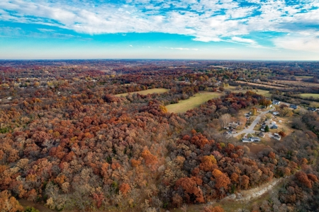 Hay/ Timber/ Development Tract Clay County, MO For Sale - image 3