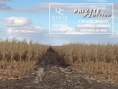 Baca County, Colorado ~ 2,195 Acre Farm ~ Private Auction - image 2