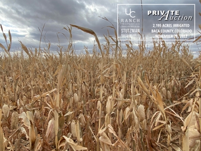 Baca County, Colorado ~ 2,195 Acre Farm ~ Private Auction - image 10