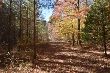 177.6 Acres Hunting and recreational property for sale in TN - image 7