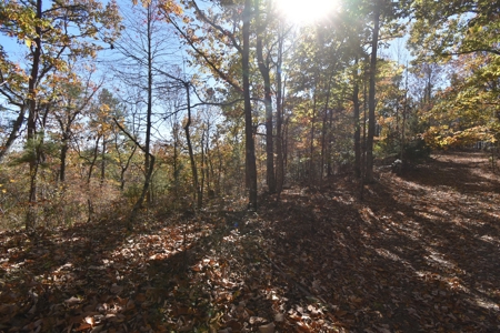 177.6 Acres Hunting and recreational property for sale in TN - image 11