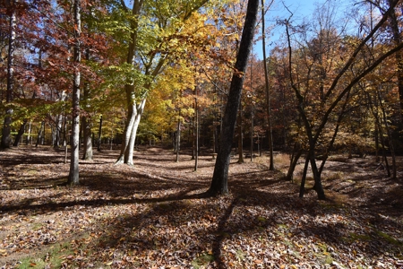 177.6 Acres Hunting and recreational property for sale in TN - image 26