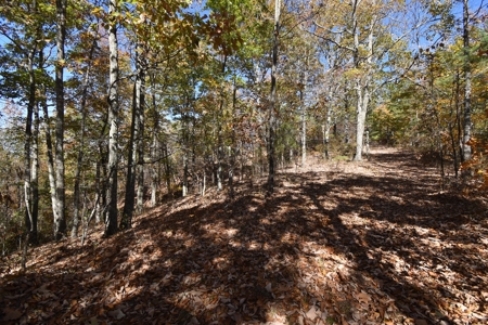 177.6 Acres Hunting and recreational property for sale in TN - image 13